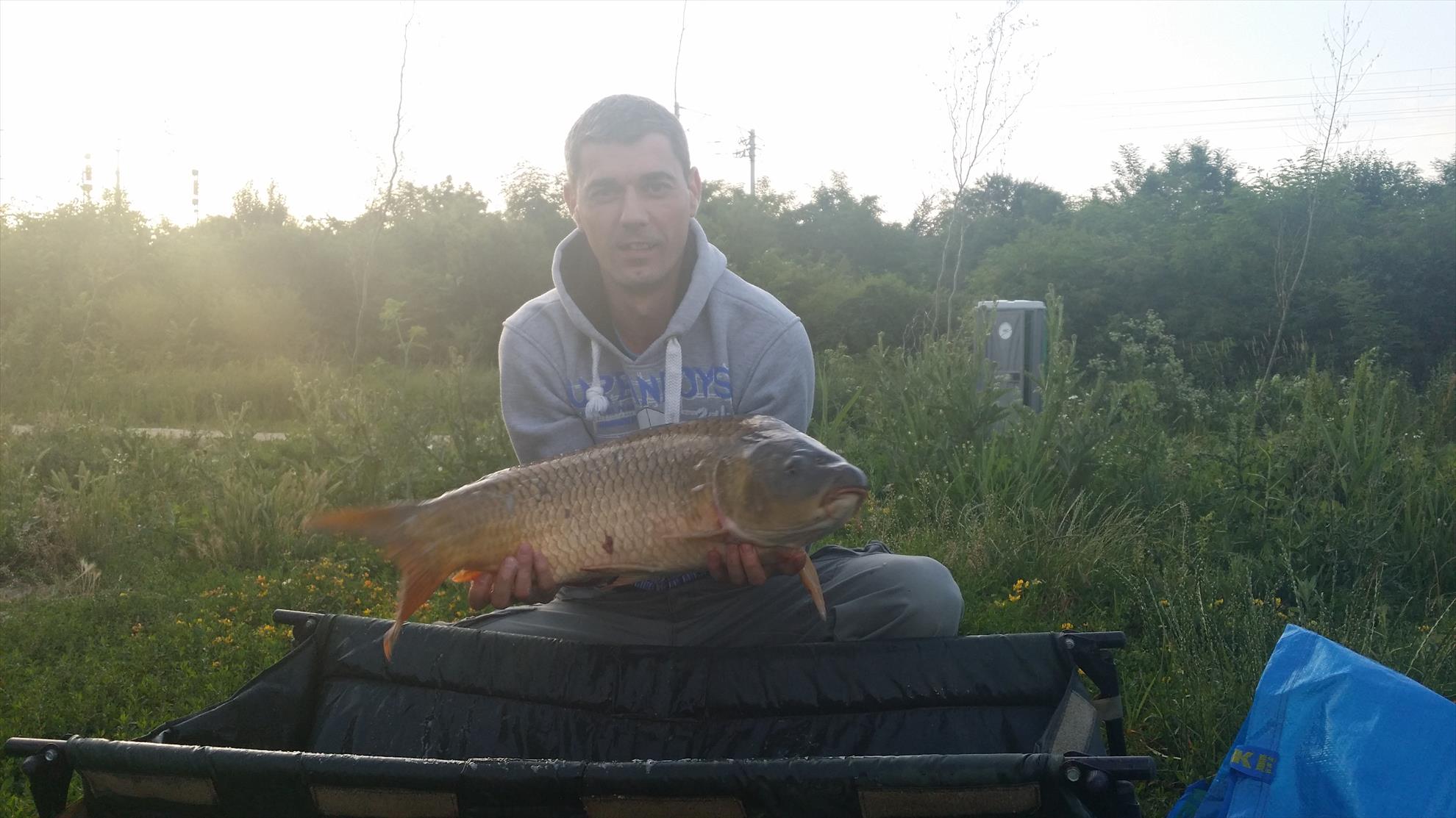 Peris - 20150615063236.jpg